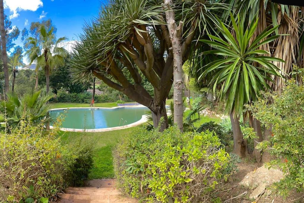 Klimatyczny Loft I Egzotyczny Basen Apartamento Benalmádena