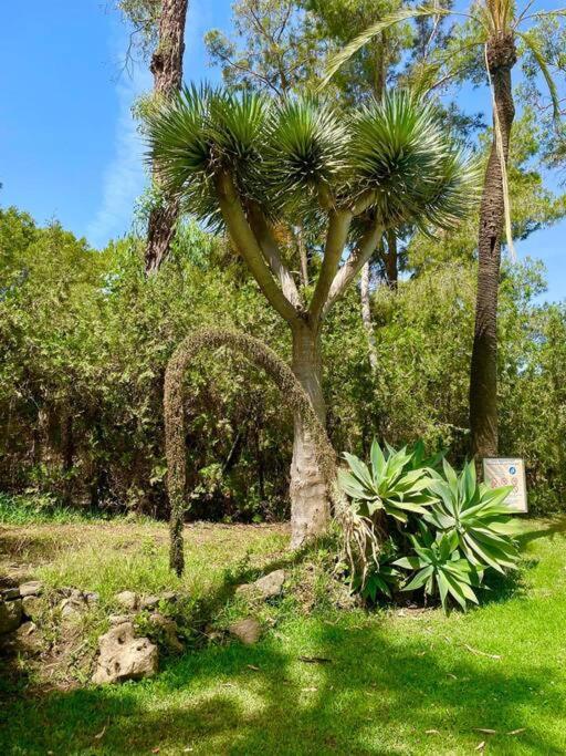Klimatyczny Loft I Egzotyczny Basen Apartamento Benalmádena