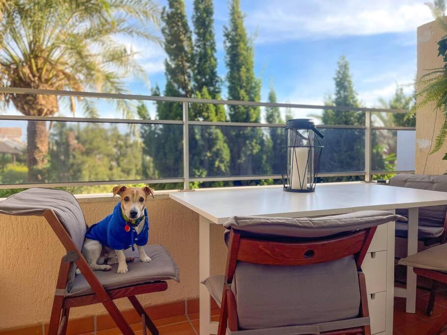 Apartamento Klimatyczny Loft I Egzotyczny Basen
